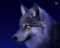 wolfcz
